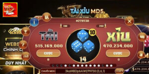 Tài Xỉu Online – Thông Tin Thú Vị Hiếm Có Cho Game Thủ Zowin