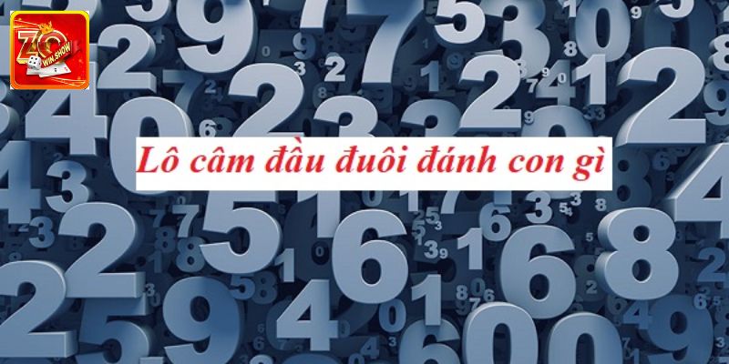 Thế nào là đầu đít câm?