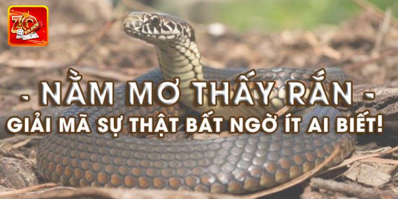 Mơ thấy rắn là điềm gì?